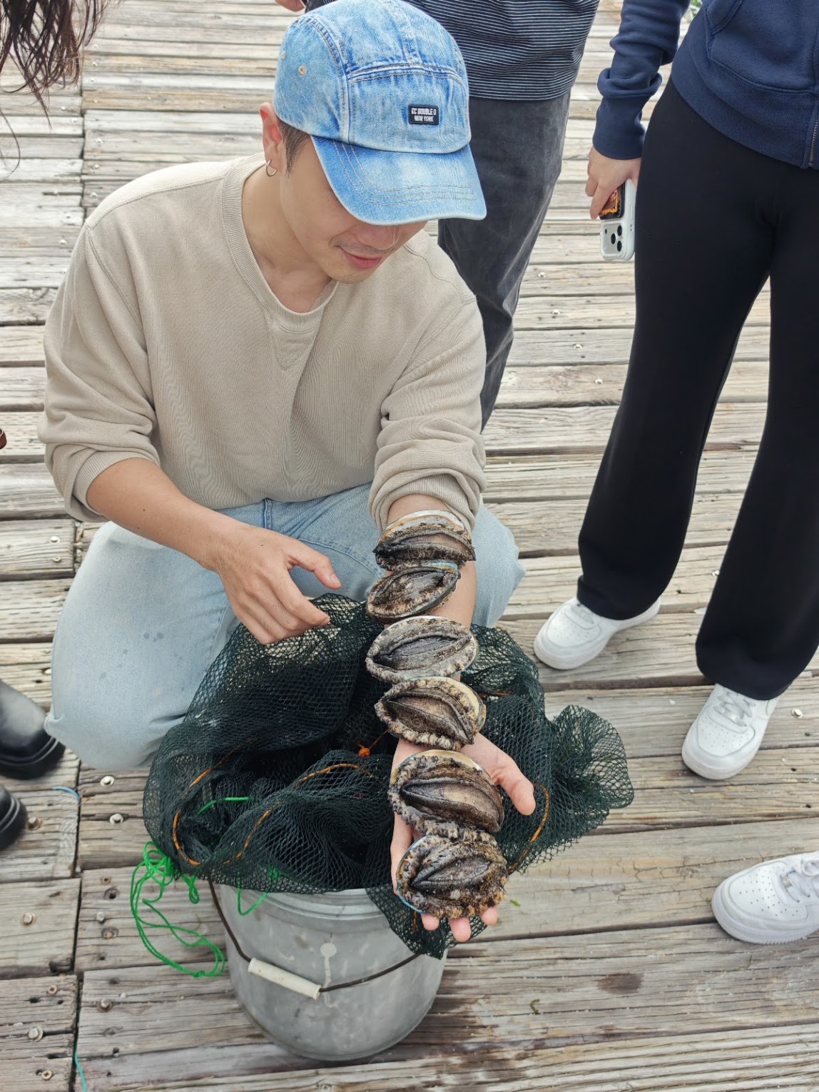 Abalone at Sok Kwu Wan fish farm