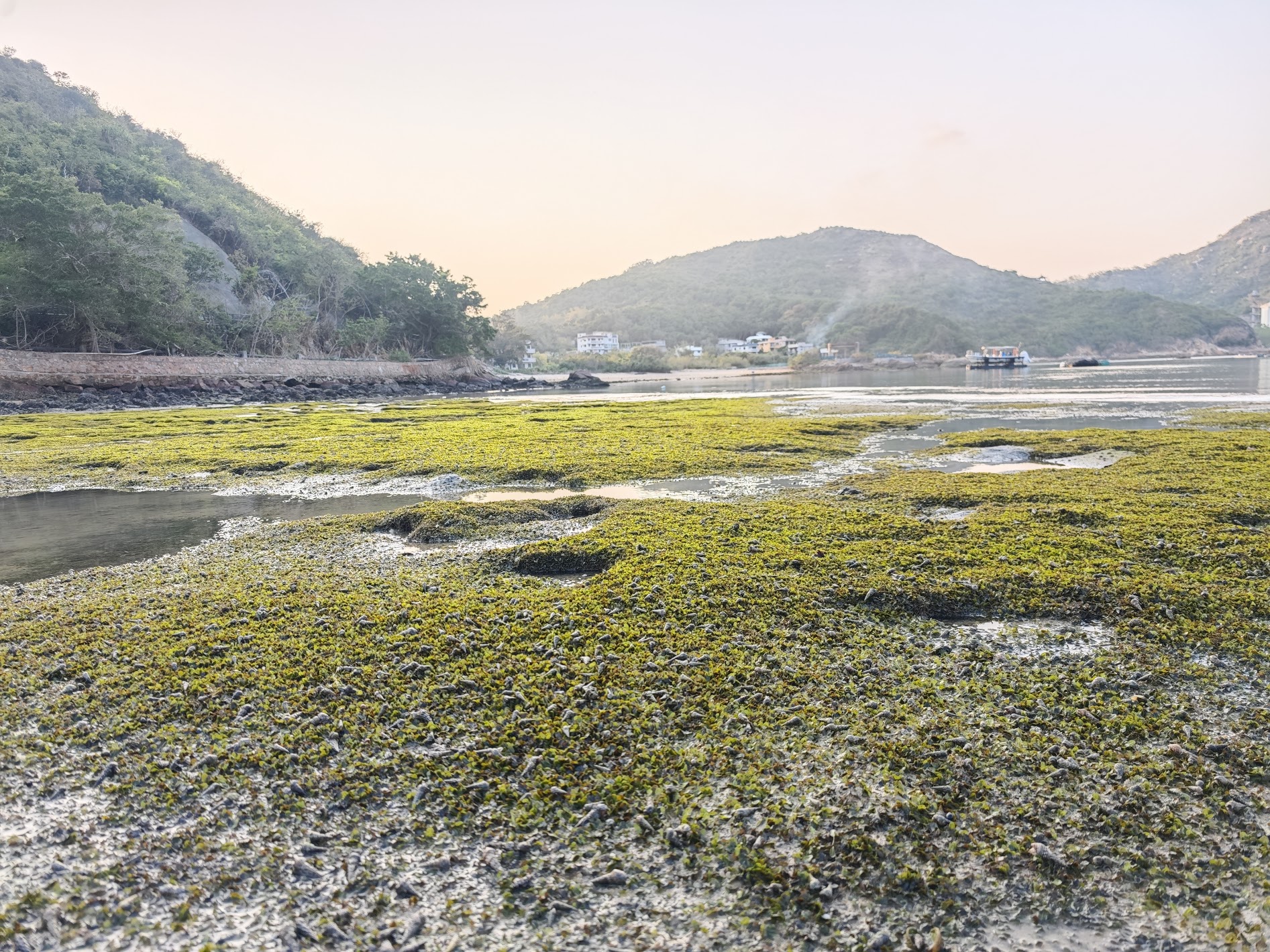 Marine & Ecological Conservation